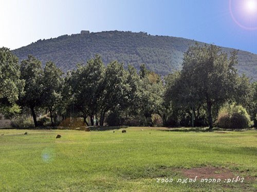 ביס ספר שדה אלון תבור צימרים צימר - ������ �כפר תבור - ������ ����